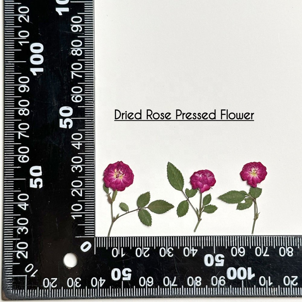 Dried pressed flowers fantastic for DIY gift decor candle making supplies