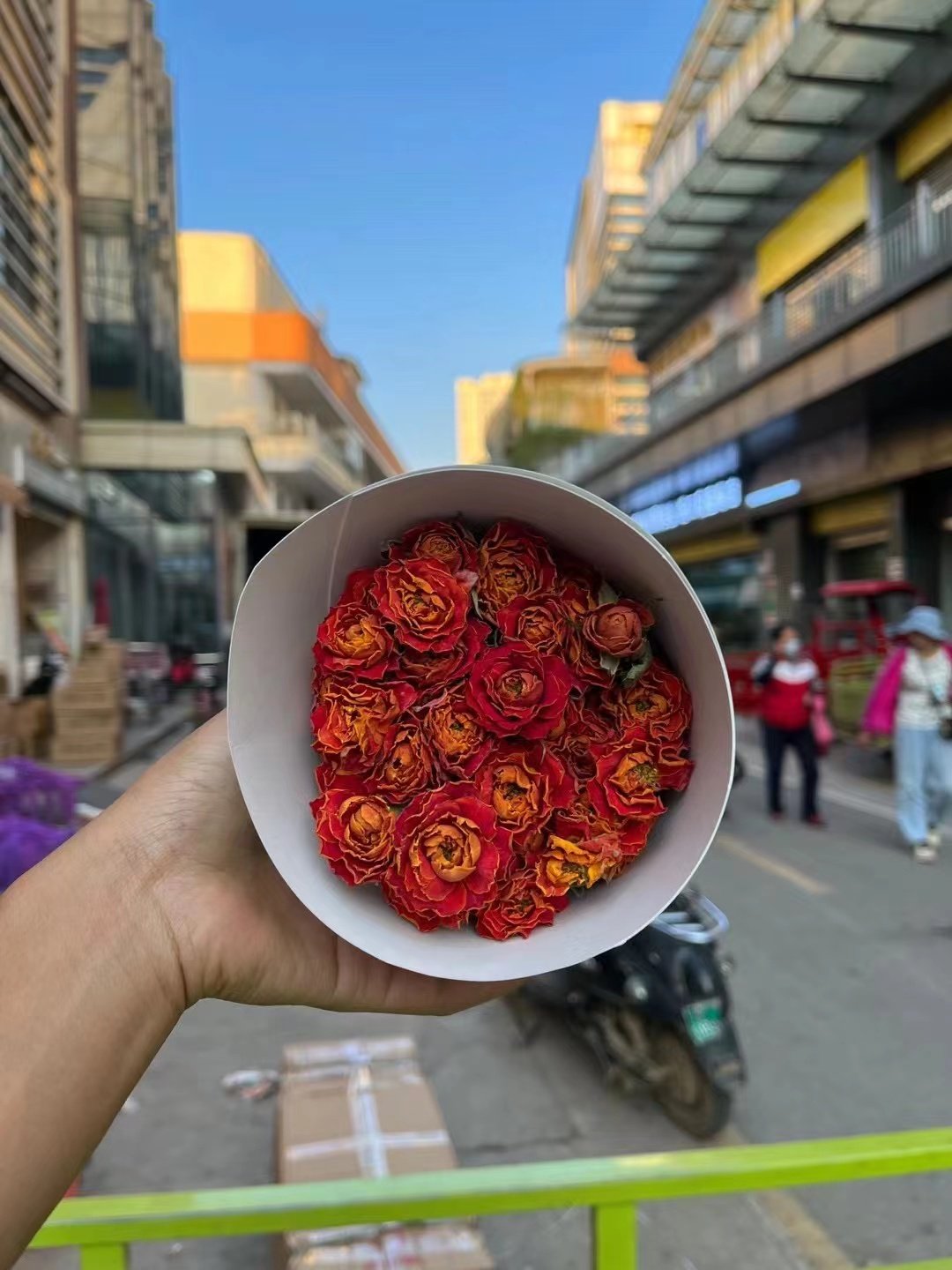 Ins hot selling flower multi-headed rose dried roses flower for decoration/home/wedding for flower arrangement