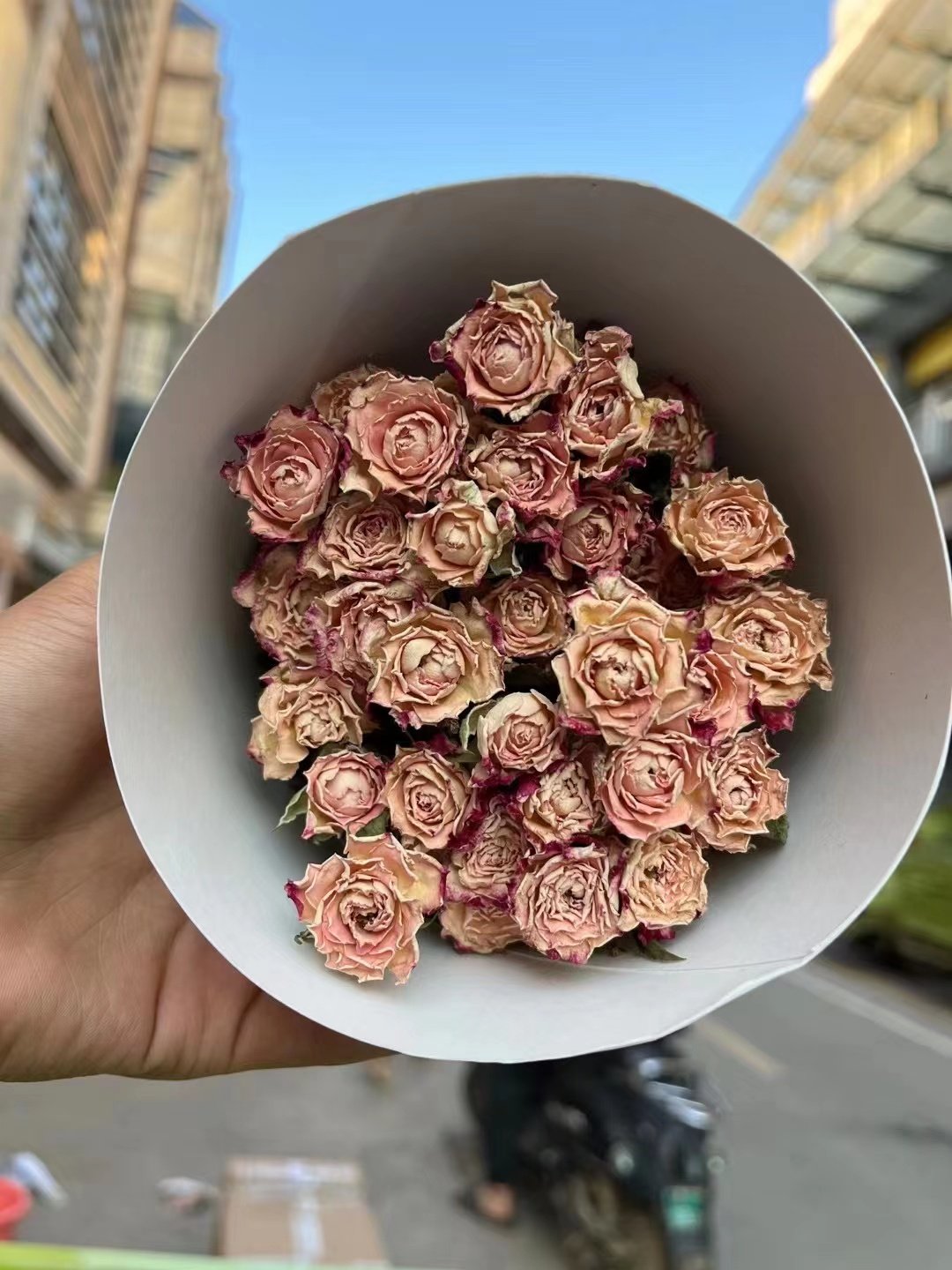Ins hot selling flower multi-headed rose dried roses flower for decoration/home/wedding for flower arrangement