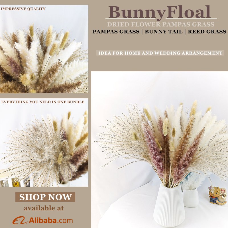 Super Fluffy Pampas Grass Natural Beige Large Pampas Grass Dry Grassland Decoration Wedding Floristry Scene Arrangement