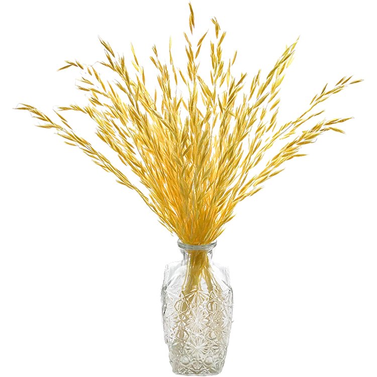 Sumflora High Quality Customized Luxury PVC Packing Conserved Natural Preserved flowers with Stem dried flowers wheat