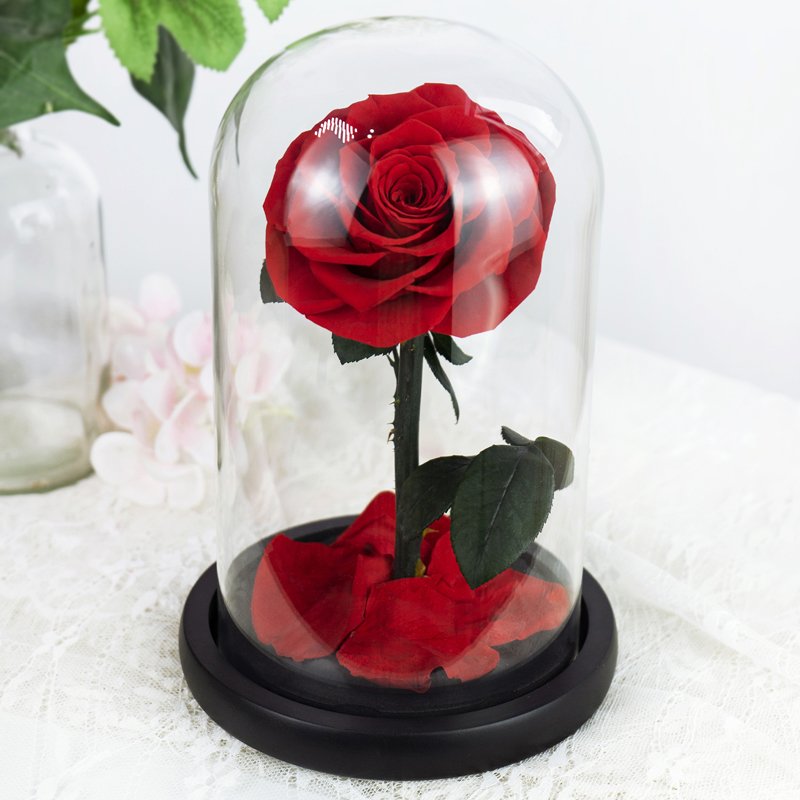 Eternal Flower's Little Prince's Rose Premium Real Dried Flower Gift for Christmas Valentine's Day Boyfriend's Birthday