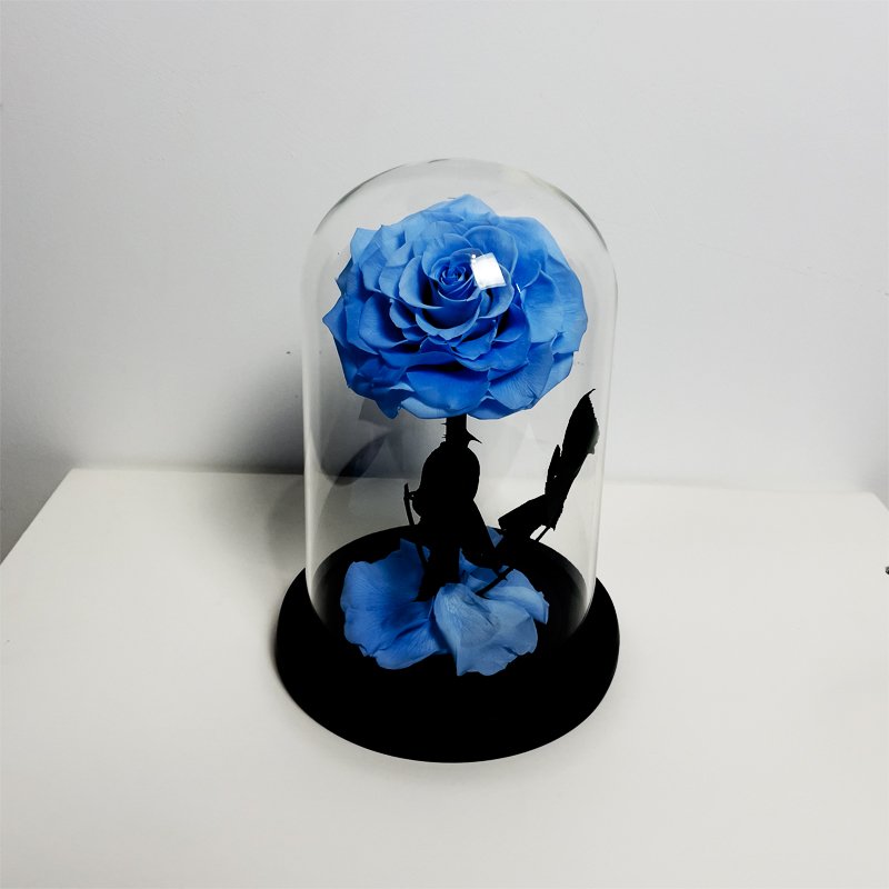Eternal Flower's Little Prince's Rose Premium Real Dried Flower Gift for Christmas Valentine's Day Boyfriend's Birthday