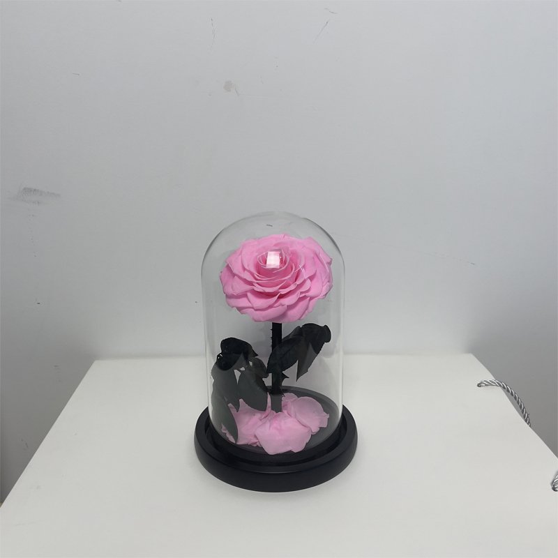 Eternal Flower's Little Prince's Rose Premium Real Dried Flower Gift for Christmas Valentine's Day Boyfriend's Birthday