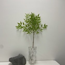 77cm