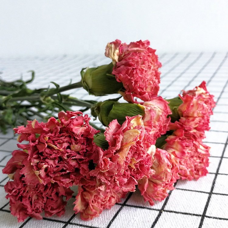 dried flower bouquet natural carnation flower china home decor wholesale dried flowers