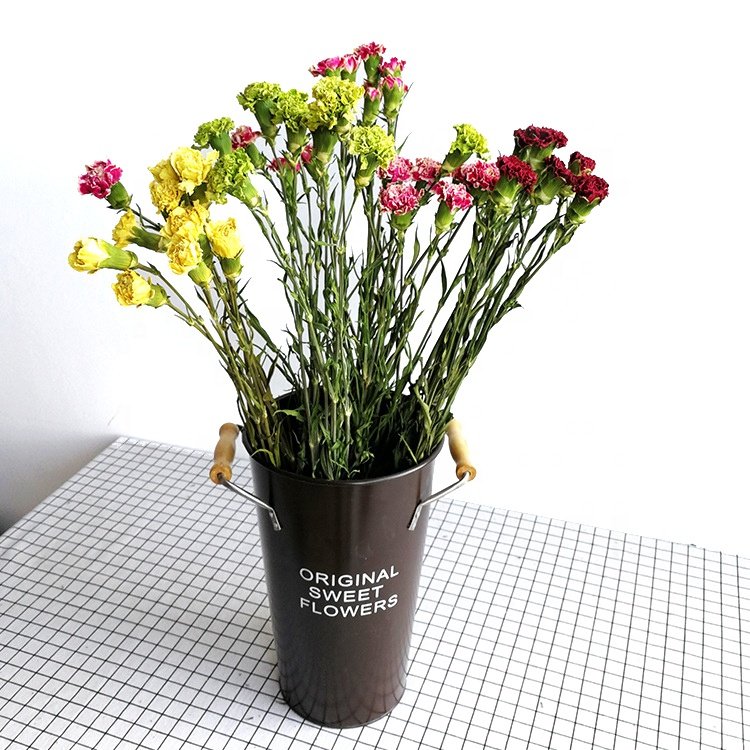 dried flower bouquet natural carnation flower china home decor wholesale dried flowers