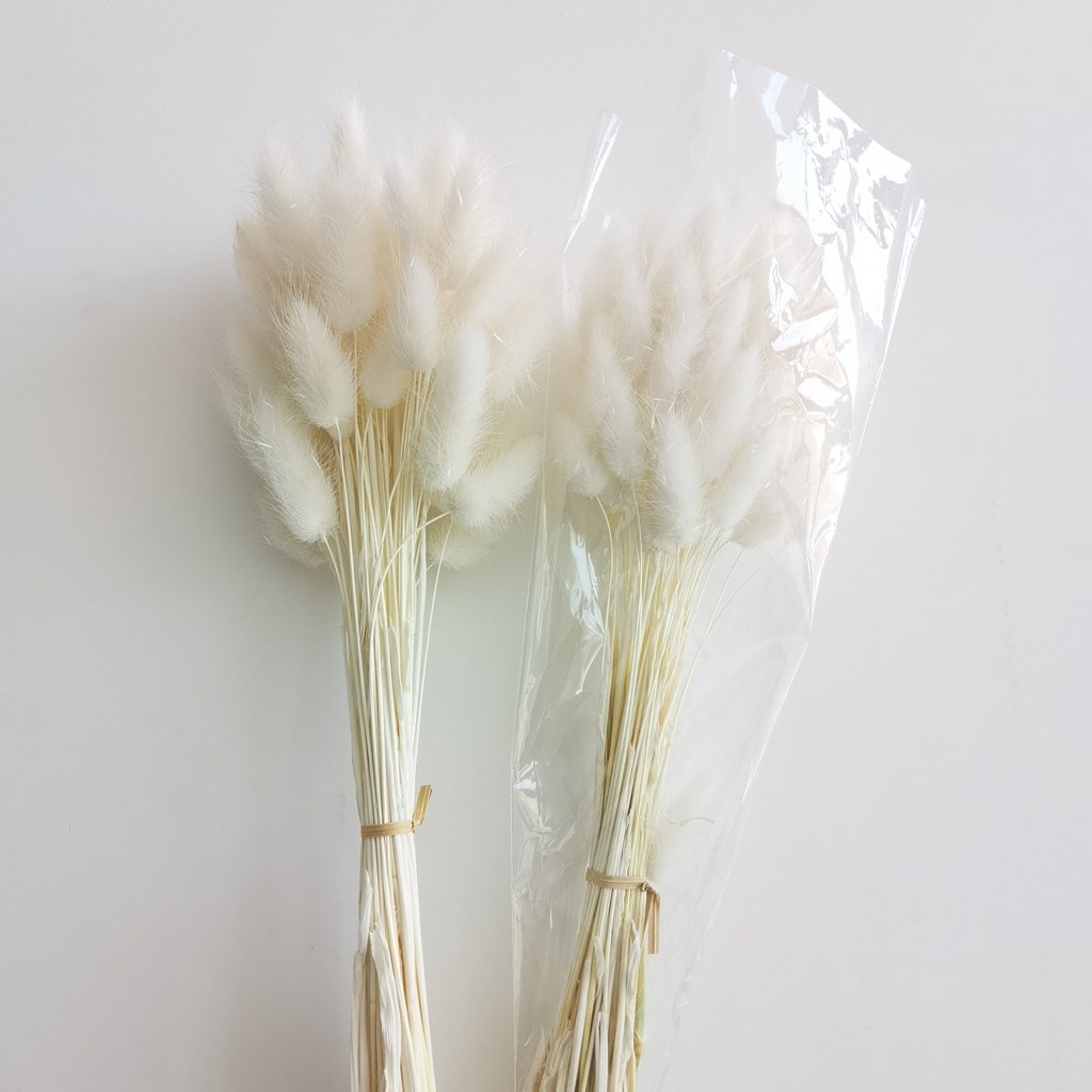 Dried Bunny Tails Wedding Decor Ins beautiful 2021 Most Popular dried lagurus ovatus White Bunny tail grass Rabbit Tail Grass