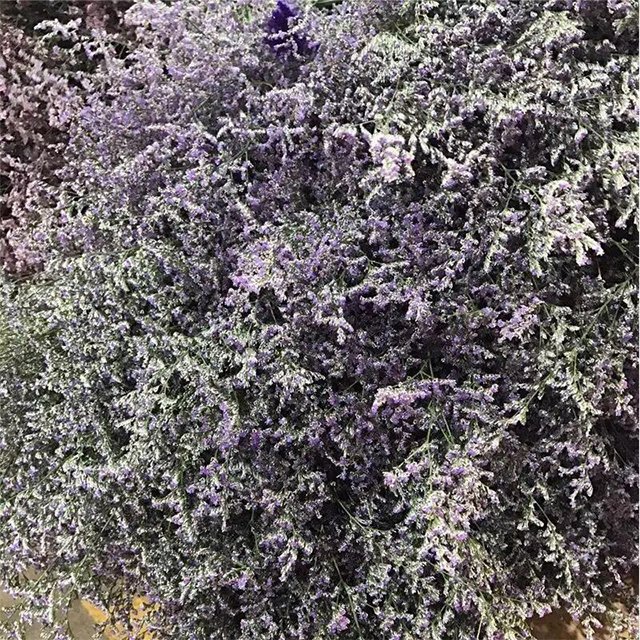 Wholesale Preserved Gypsophila Natural Dried Flowers of Baby's Breath Bulk Sold in KG