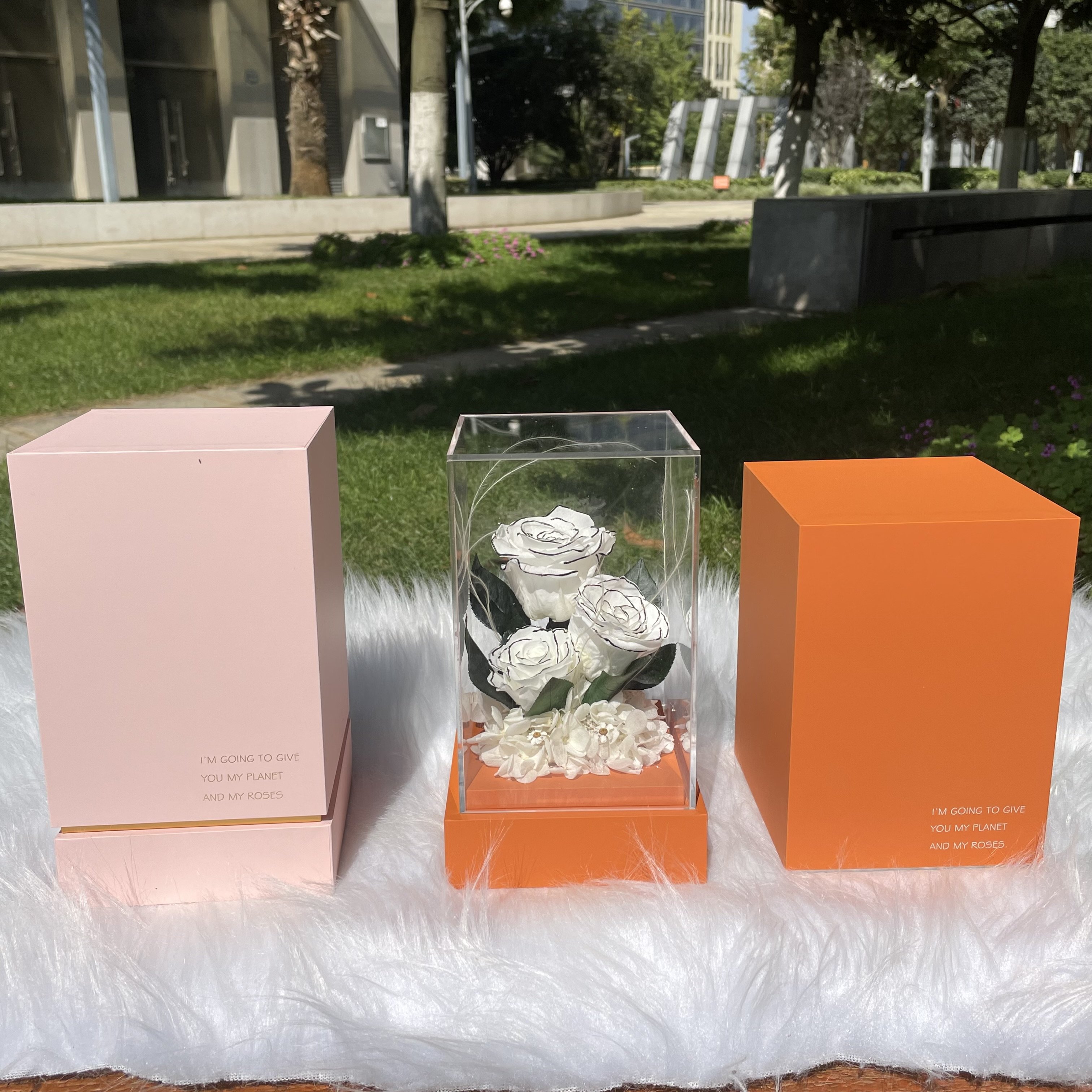 2025 Valentine Day Gifts Wholesale Luxury Gift Preserved Flower Box Preserved Prince of Acrylic Rose For Gift