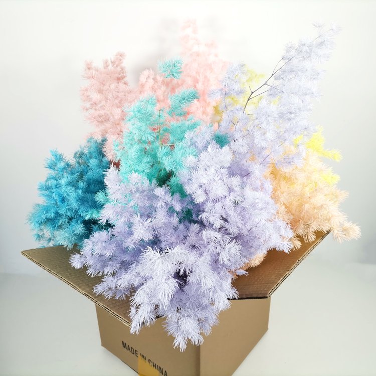 SumFlora Wholesale Dried flowers preserved Asparagus myrioeladus Penglaisong for home decoration