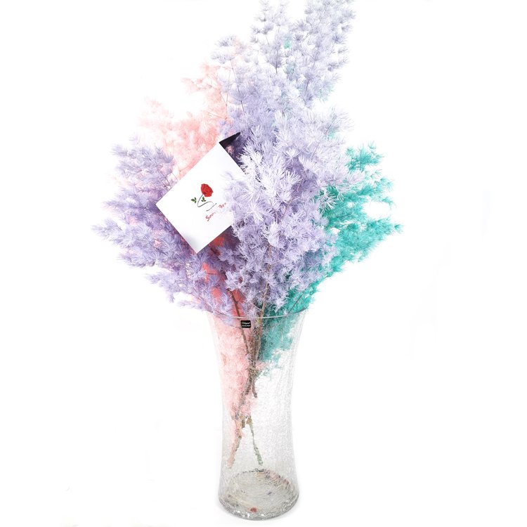 SumFlora Wholesale Dried flowers preserved Asparagus myrioeladus Penglaisong for home decoration