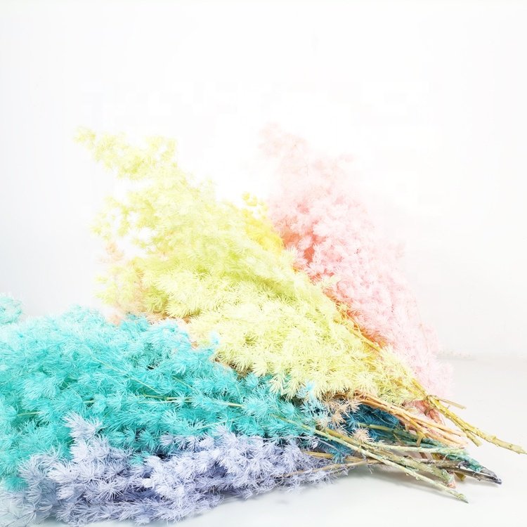 SumFlora Wholesale Dried flowers preserved Asparagus myrioeladus Penglaisong for home decoration