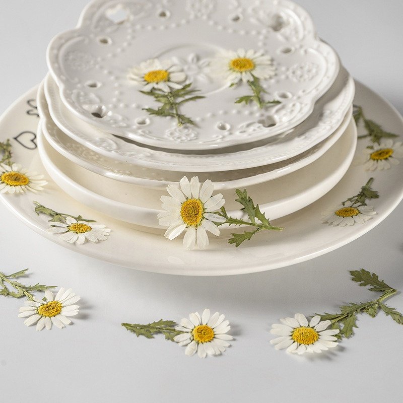 wholesale dry DIY material Dried daisy pressed flowers with stem for resin Nail Art Phone Case candle making decoration