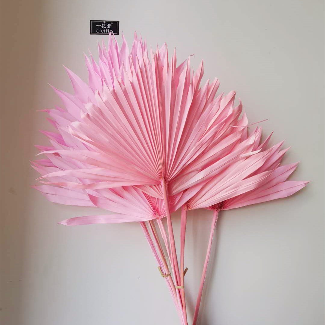 Beautiful Colorful Preserved Palm Leaves Dried Flower Decoration Mini Fern Dried Palm