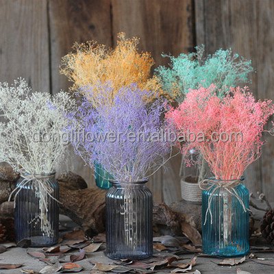 Preserved Natural Mini Stardust Gypsophila Flower, natural Babysbreath flower
