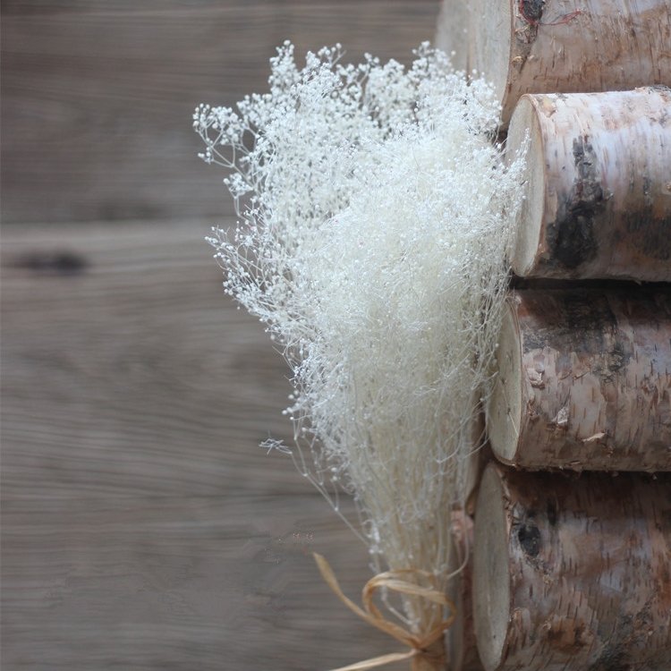 Preserved Natural Mini Stardust Gypsophila Flower, natural Babysbreath flower