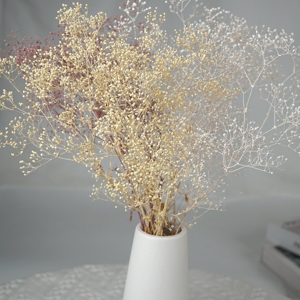 Preserved Natural Mini Stardust Gypsophila Flower, natural Babysbreath flower