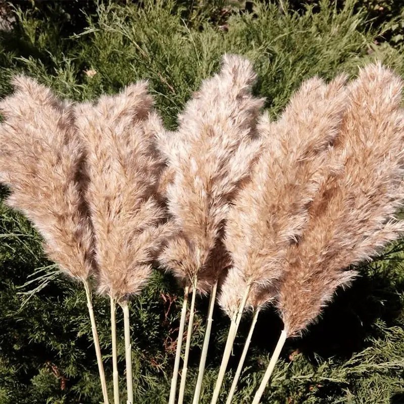 43CM Tall Fluffy Faux Pampas Grass Reeds Wedding Home Decor Table Decoration Flowers Artificial Pampas Grass