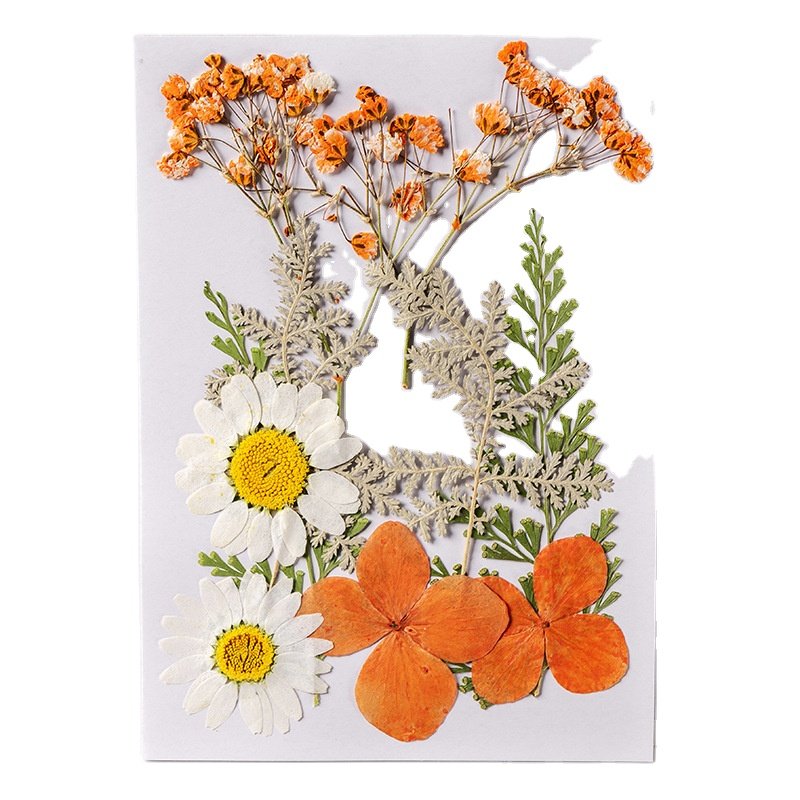 Handicraft Flower Press Bulk Mixed Pack Fresh Real Pressed Natural dried Flowers dried Pressed Flower for resin