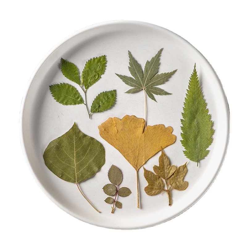 Handicraft Flower Press Bulk Mixed Pack Fresh Real Pressed Natural dried Flowers dried Pressed Flower for resin