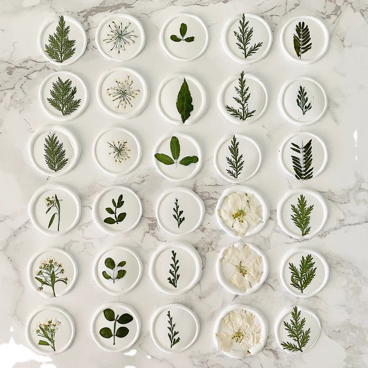 Handicraft Flower Press Bulk Mixed Pack Fresh Real Pressed Natural dried Flowers dried Pressed Flower for resin