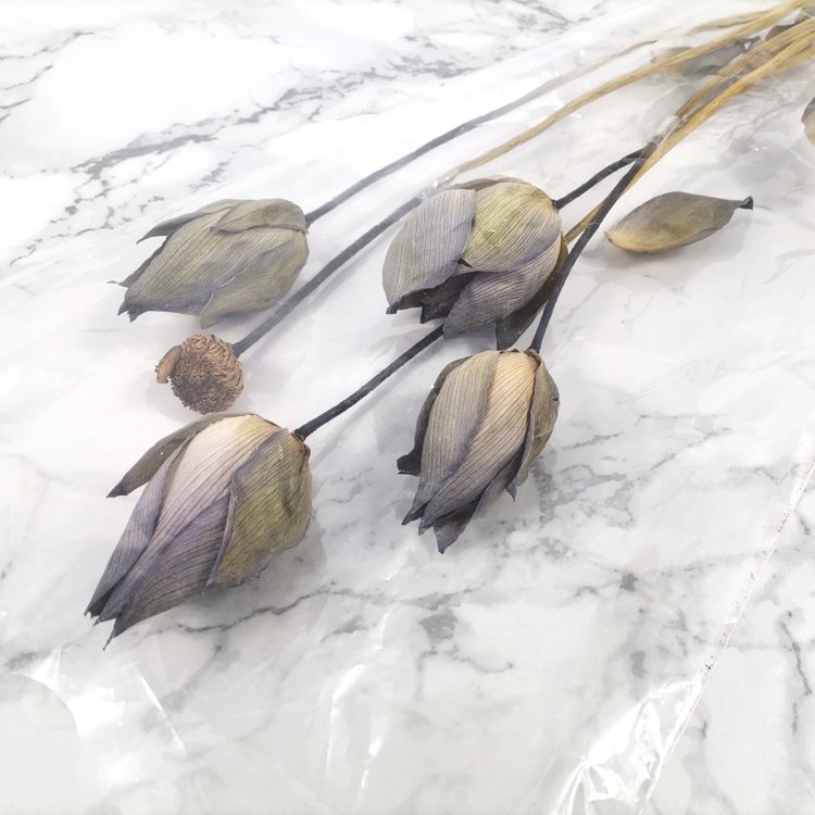 SumFlora Yunnan wholesale natural plant long lasting dry flowers dried lotus for decoration