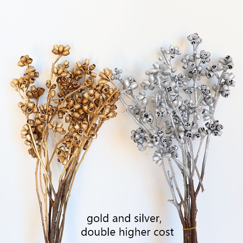 Dried natural Zombie fruit flower, Eucalyptus small fruits branch, bell shape, floral arrangement, home decoration