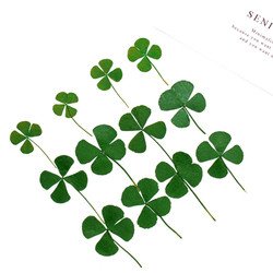 S-dyed(1.5-2cm)