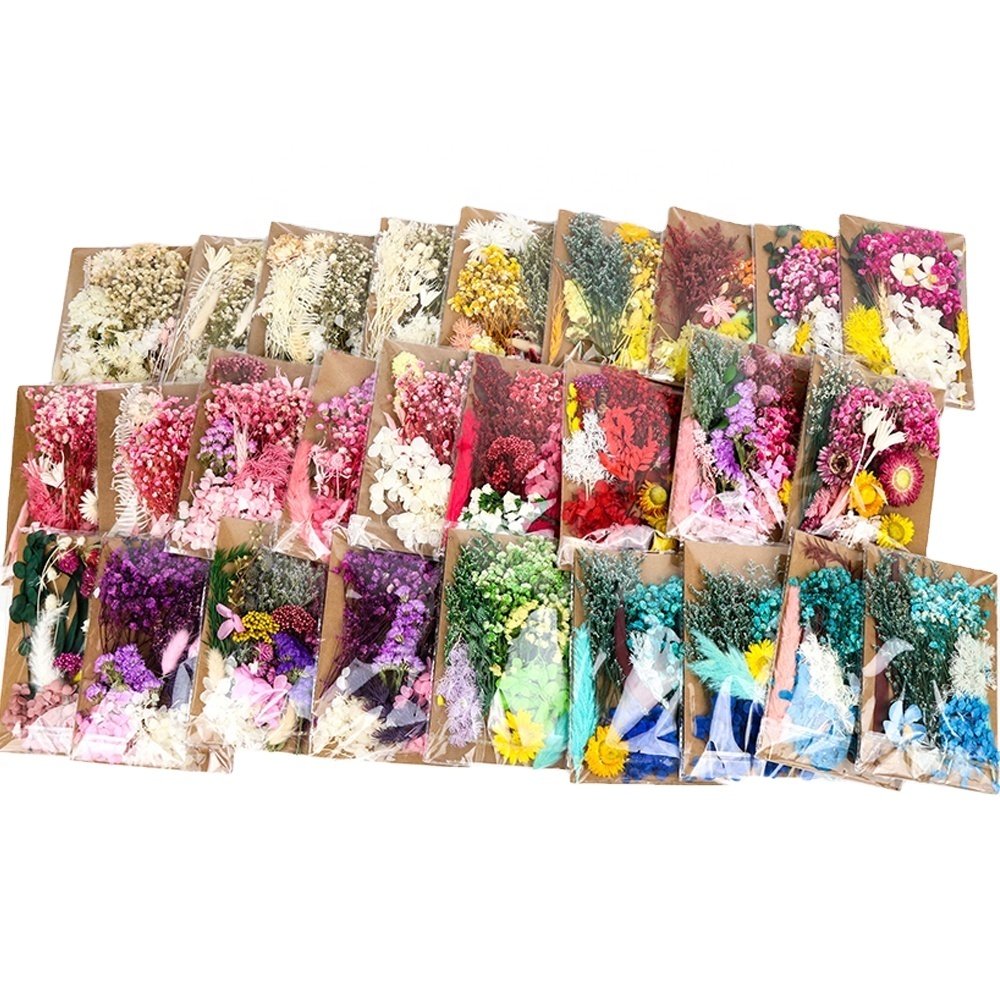 Hot Selling Set Real Natural DIY Plants Leaves Preserved Dried Flowers For Candle Making Resin Craft
