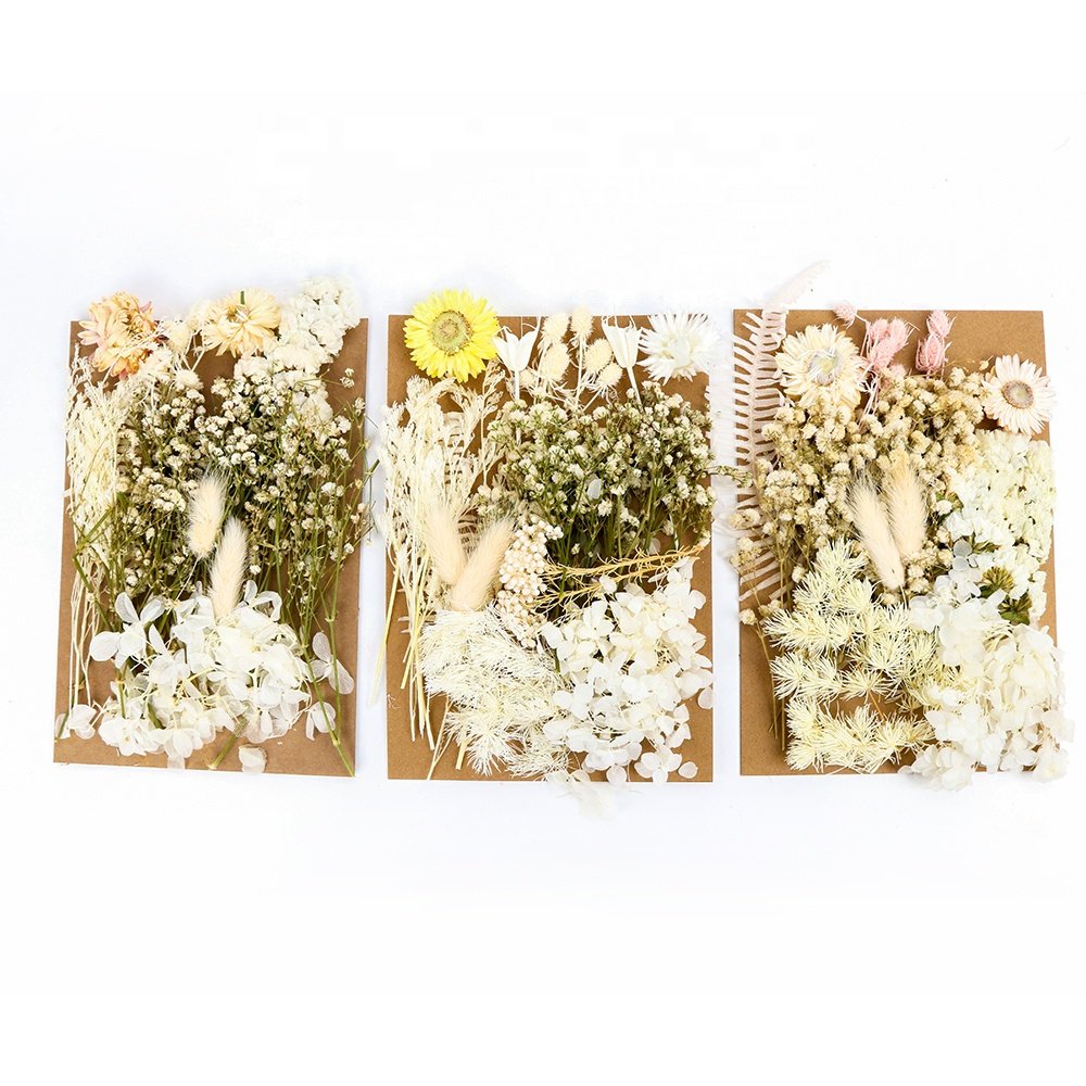 Hot Selling Set Real Natural DIY Plants Leaves Preserved Dried Flowers For Candle Making Resin Craft