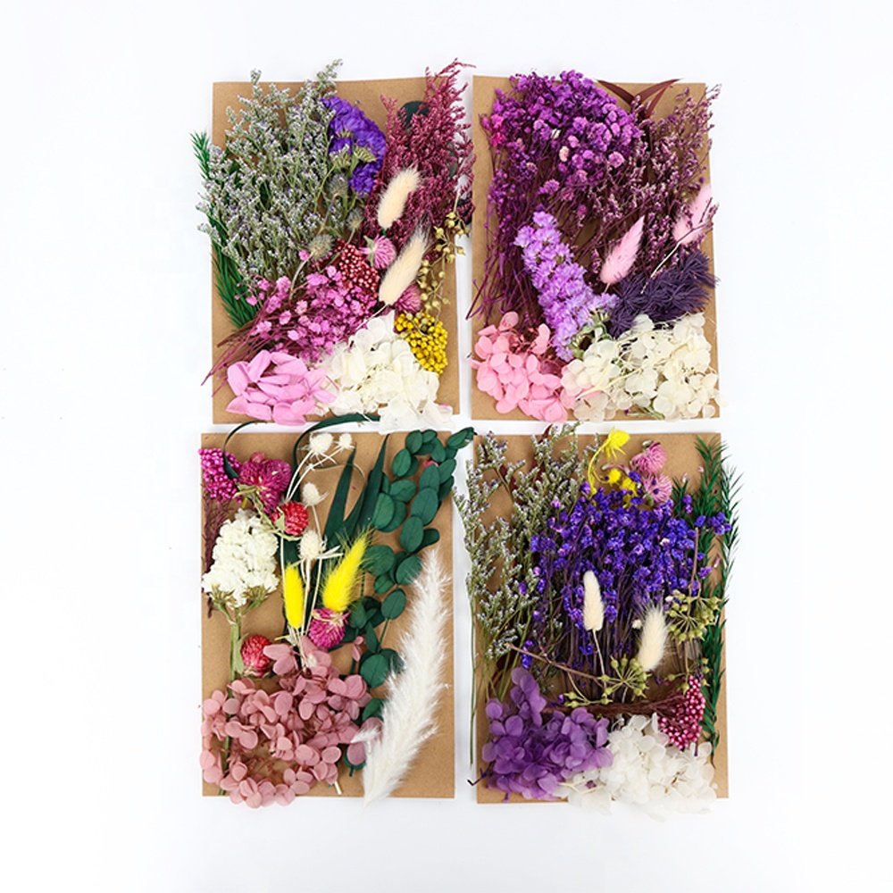Hot Selling Set Real Natural DIY Plants Leaves Preserved Dried Flowers For Candle Making Resin Craft