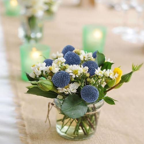 20 Pieces Dried Flowers Craspedia Billy Balls Flowers Dark Blue Billy Buttons Dried Flowers Bouquet Arrangement for Wedding Home
