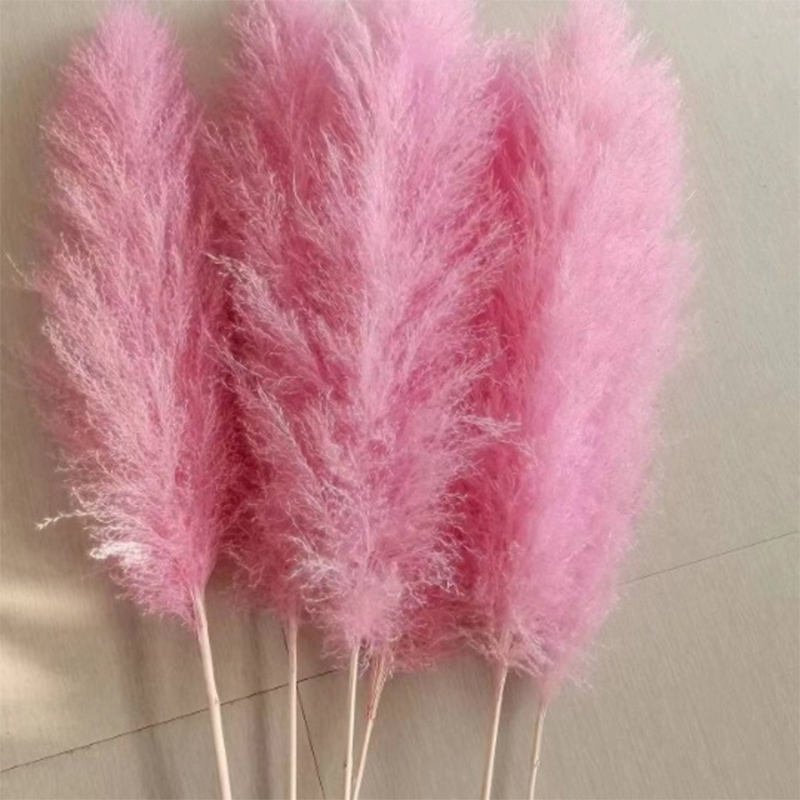G15 Home Decoration Customized Tall Reeds Natural BunnyTail Reeds Pampas Grass Dried Flower Bouquet Pink Pampas Grass Large