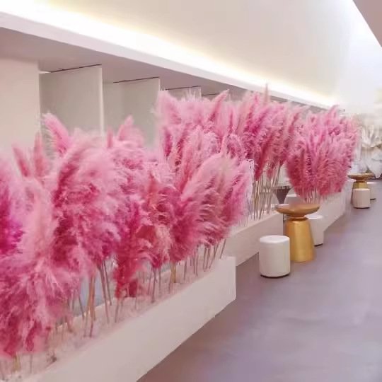 G15 Home Decoration Customized Tall Reeds Natural BunnyTail Reeds Pampas Grass Dried Flower Bouquet Pink Pampas Grass Large