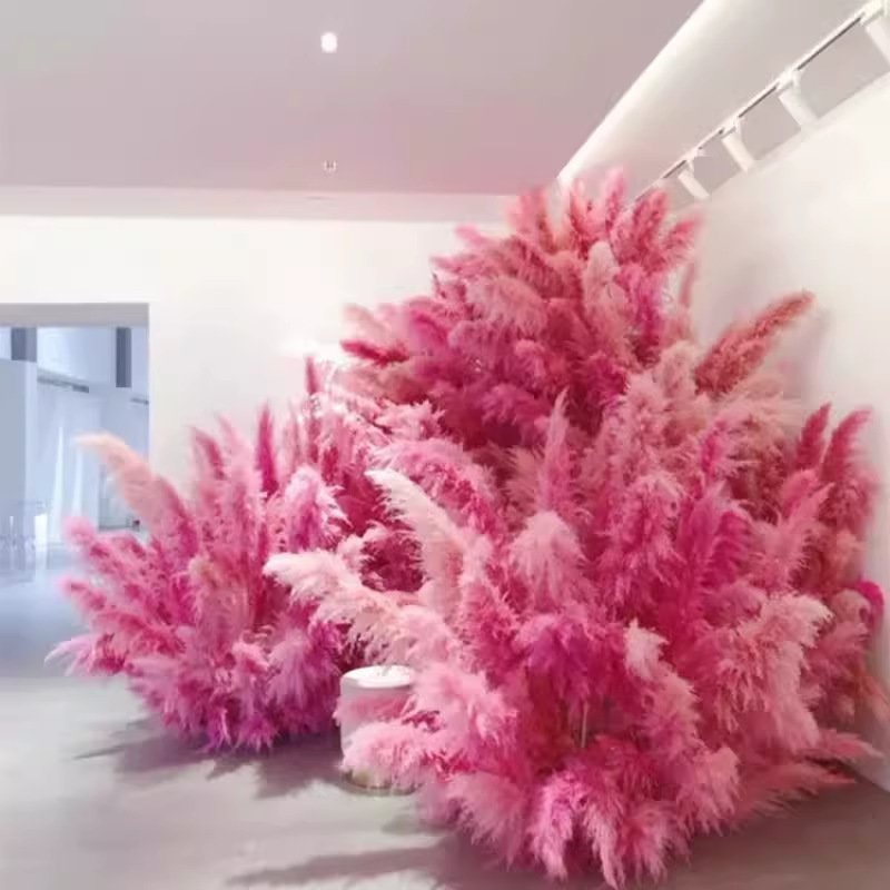 G15 Home Decoration Customized Tall Reeds Natural BunnyTail Reeds Pampas Grass Dried Flower Bouquet Pink Pampas Grass Large