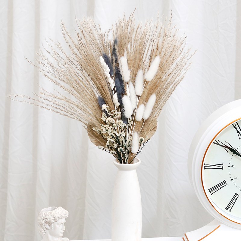 CH-082 Hare tail grass palm leaf fan natural real touch pampas grass dried flowers bouquet decoration