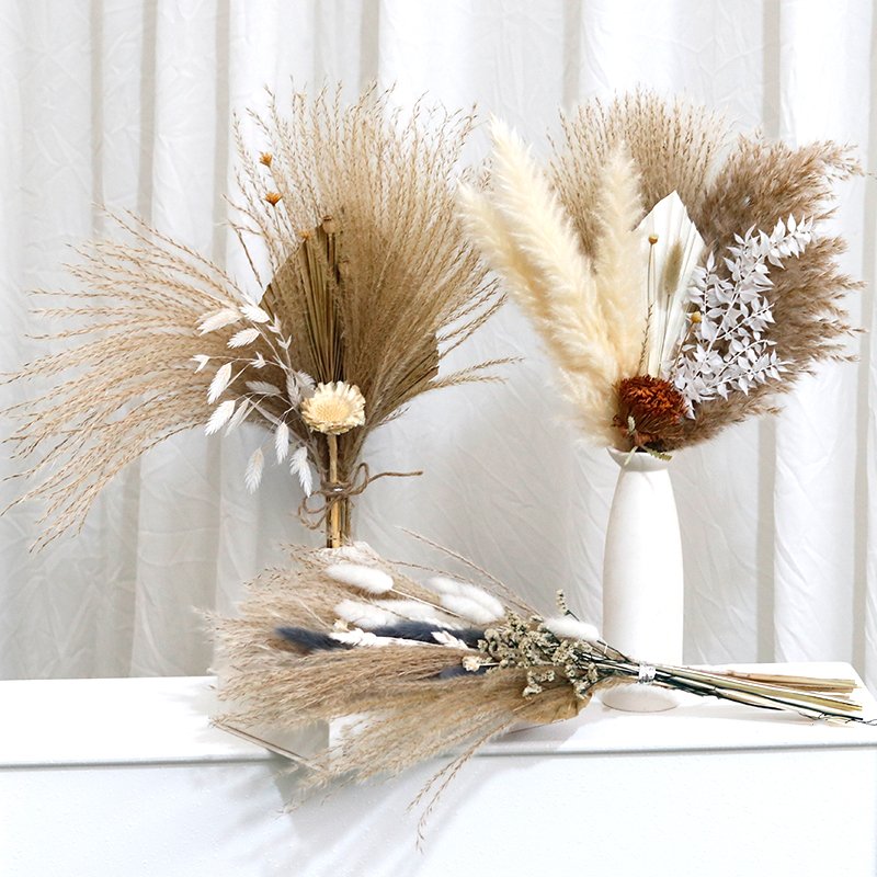 CH-082 Hare tail grass palm leaf fan natural real touch pampas grass dried flowers bouquet decoration