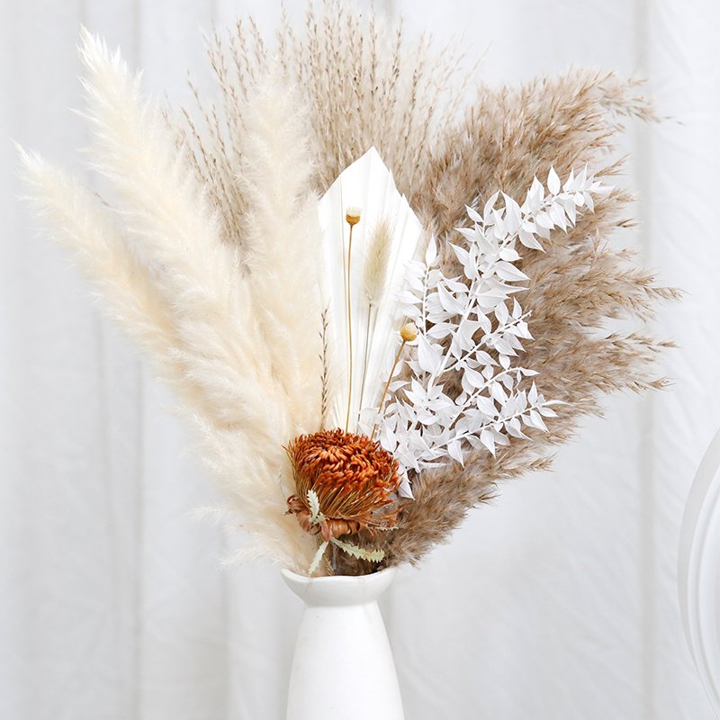 CH-082 Hare tail grass palm leaf fan natural real touch pampas grass dried flowers bouquet decoration