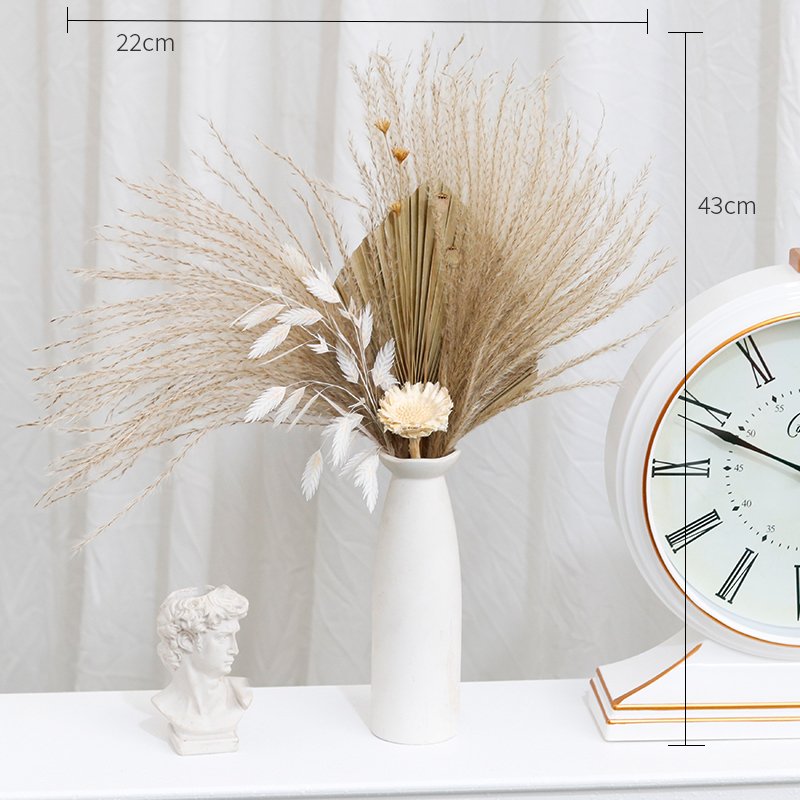 CH-082 Hare tail grass palm leaf fan natural real touch pampas grass dried flowers bouquet decoration