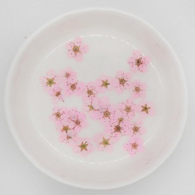 wholesale price Mixed Multiple Dried Flower Petals real natural mini size dry pressed flower for diy phone case decoration