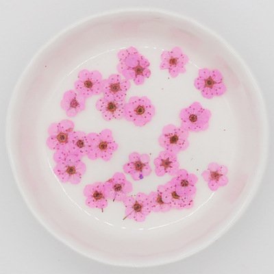 wholesale price Mixed Multiple Dried Flower Petals real natural mini size dry pressed flower for diy phone case decoration