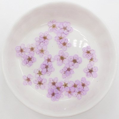 wholesale price Mixed Multiple Dried Flower Petals real natural mini size dry pressed flower for diy phone case decoration