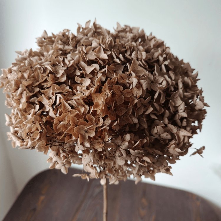 Hydrangea Preserved Roses for Home and Restaurant Decor for Wedding and Valentine's Day Flower Arrangements
