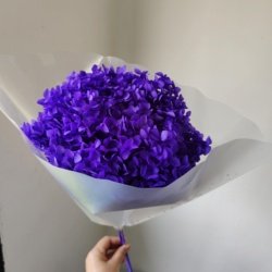 violet