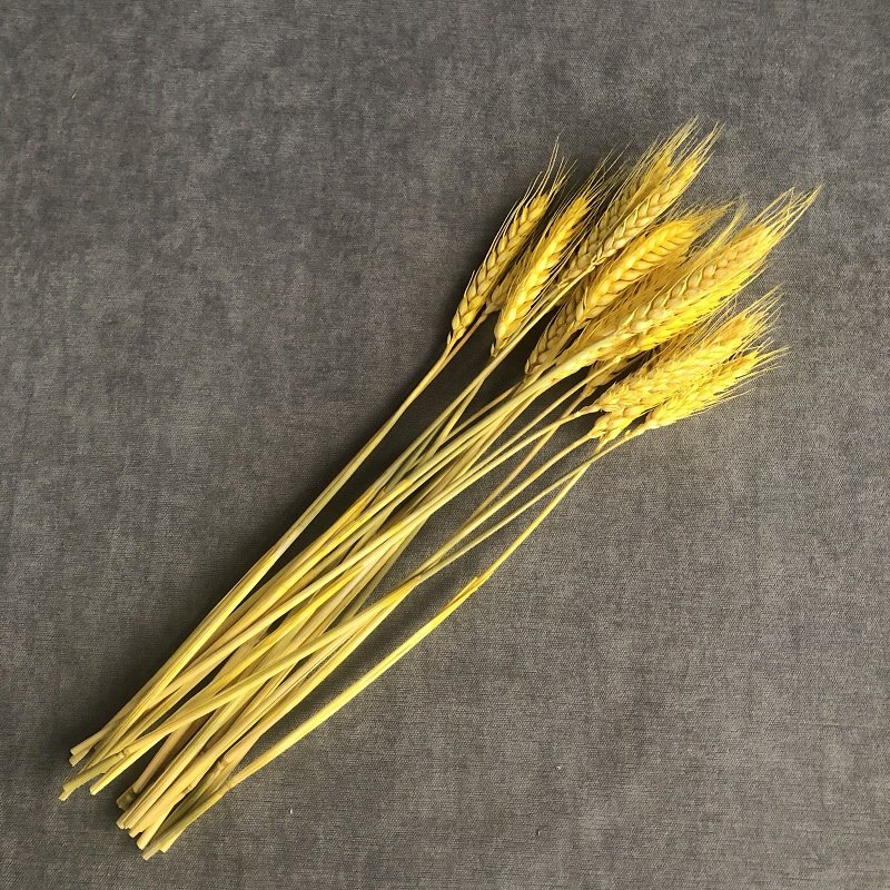 Factory Wholesale High Quality Natural Wheat Bouquet Real Wheat Ears Dried Flowers Bouquet Plants Decorations Home