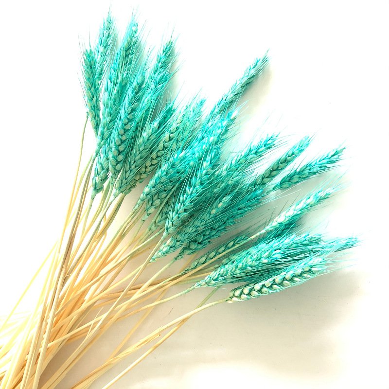 Factory Wholesale High Quality Natural Wheat Bouquet Real Wheat Ears Dried Flowers Bouquet Plants Decorations Home