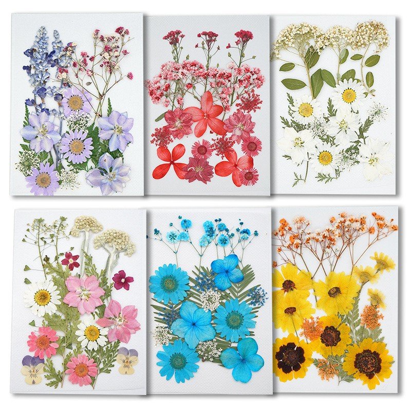 Wholesale Dry Mixed Pressed Flower For Resin Crafts Art Natural Real Dried Flowers
