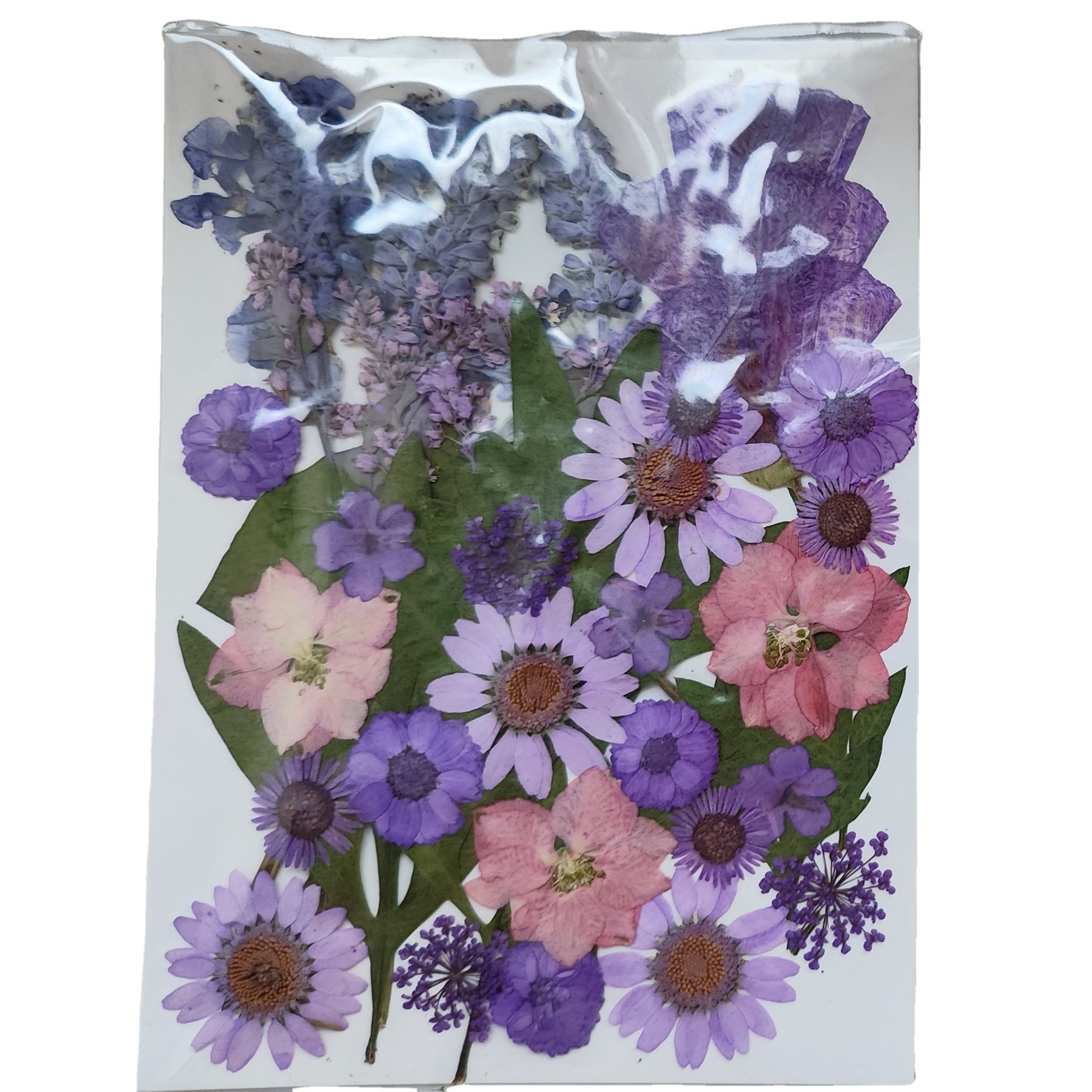 Wholesale Dry Mixed Pressed Flower For Resin Crafts Art Natural Real Dried Flowers