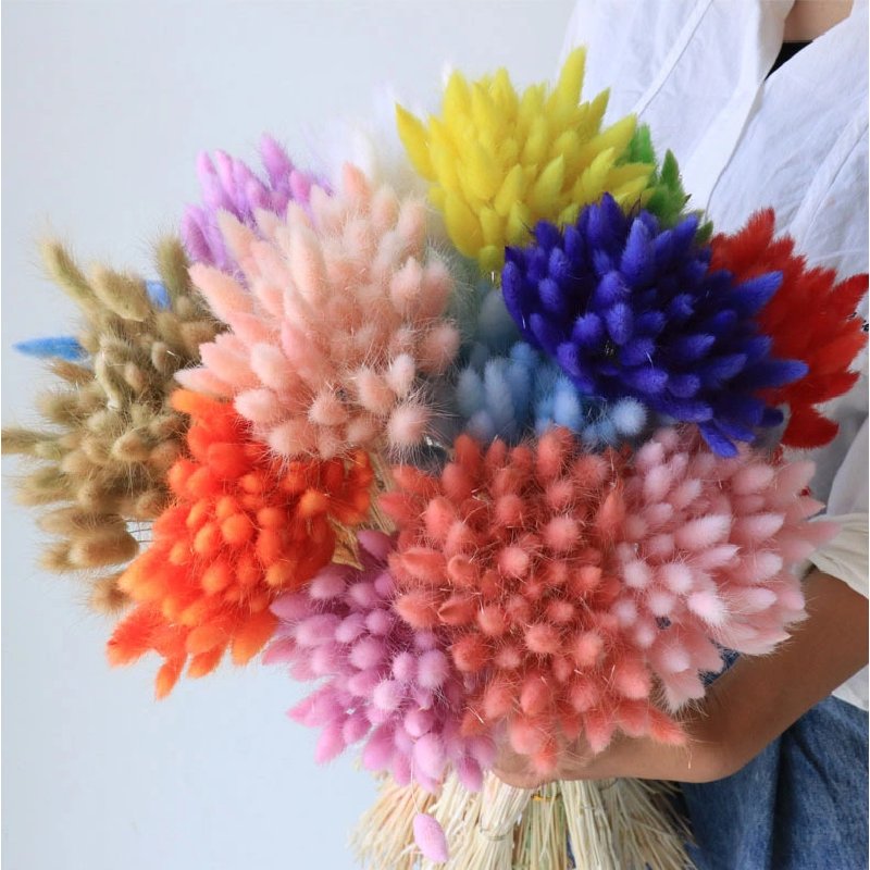 Wholesale 19 colors hare tail dried flowers rabbit tail wholesale dried preserved flowers